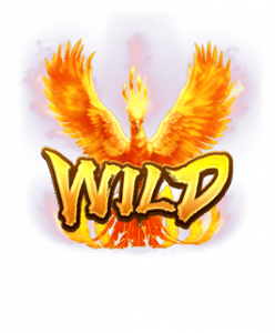 wild Phoenix Rises